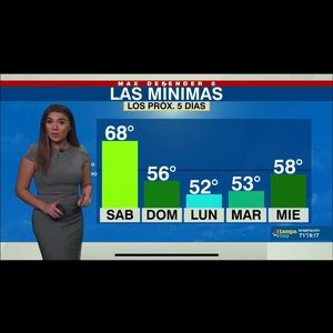 Green H&M Dress with Belt